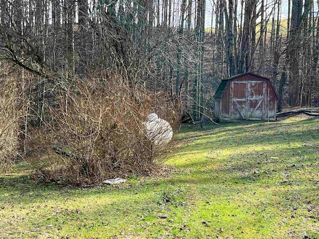 view of yard with a storage shed