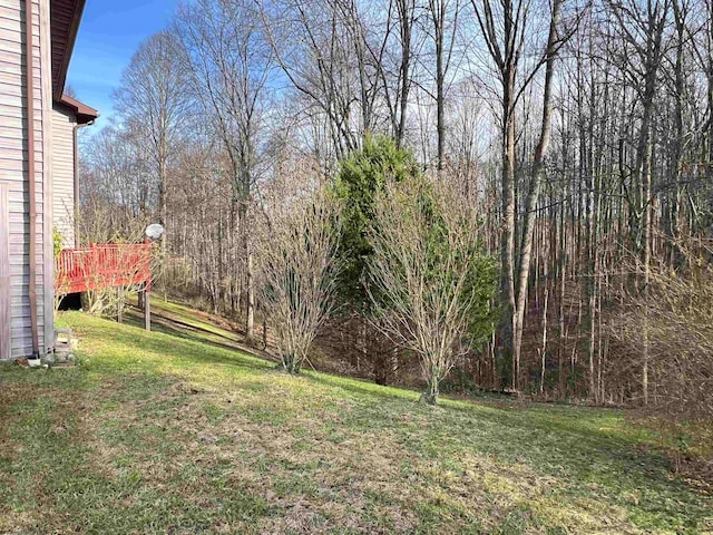 view of yard featuring a wooden deck