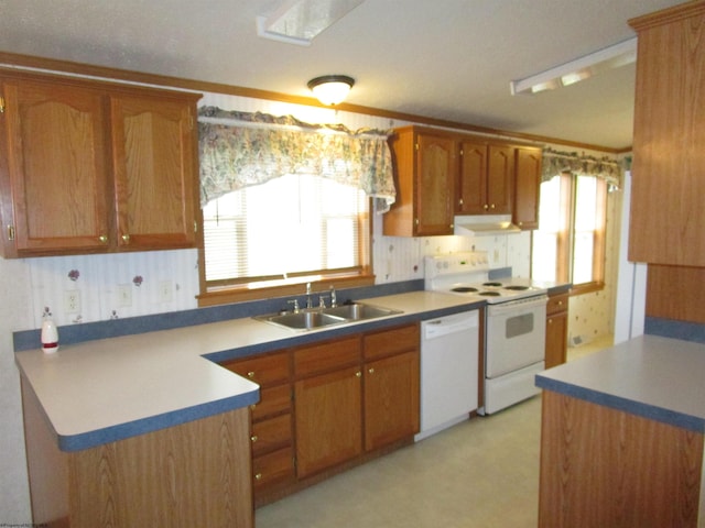 kitchen featuring sink and white appliances