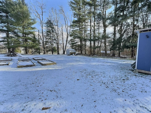 view of snowy yard