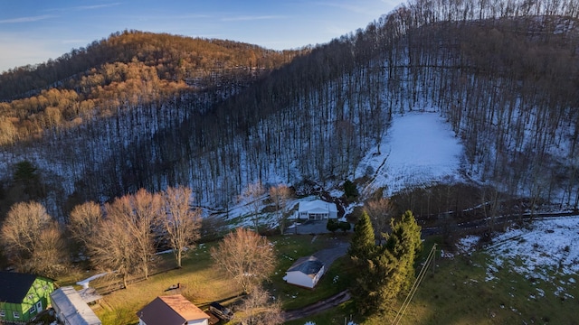 2302 Red Rock Rd, Rowlesburg, WV 26425 - aerial view of a forest and a mountain backdrop