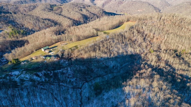 2302 Red Rock Rd, Rowlesburg, WV 26425 - aerial view of property and surrounding area