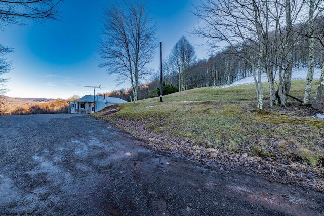 2302 Red Rock Rd, Rowlesburg, WV 26425 - view of yard with driveway