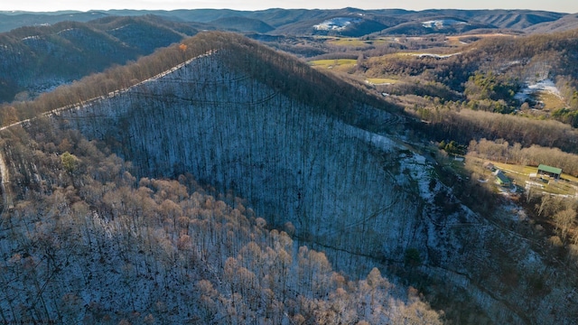 2302 Red Rock Rd, Rowlesburg, WV 26425 - aerial view of property's location with a forest and mountains