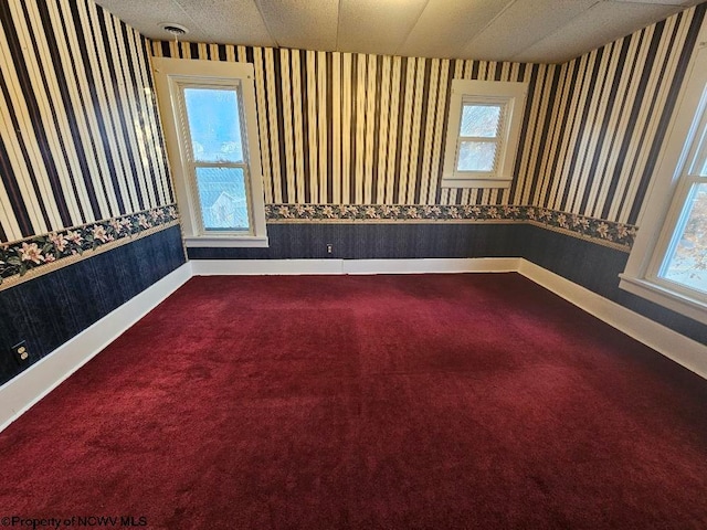 carpeted empty room with plenty of natural light