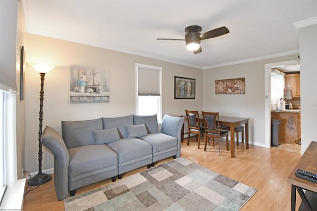 living room with ceiling fan, light wood-type flooring, and ornamental molding