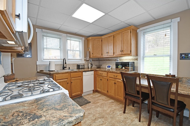 kitchen with plenty of natural light, white appliances, and sink