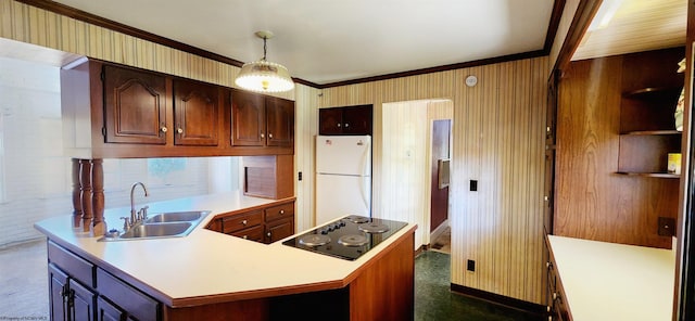 kitchen featuring pendant lighting, black electric stovetop, crown molding, sink, and white fridge