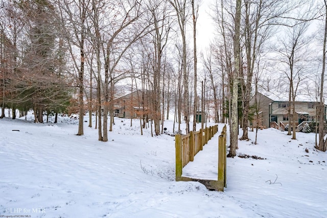 view of snowy yard