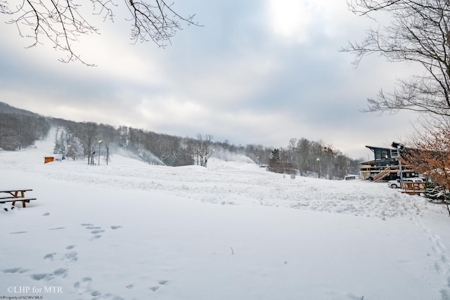 view of yard covered in snow