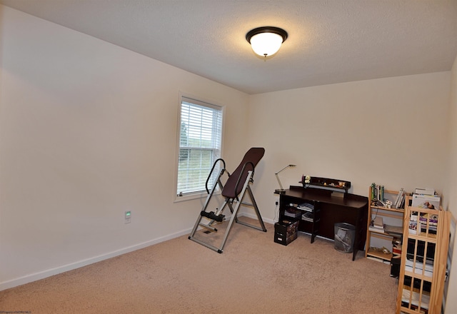 exercise area featuring a textured ceiling and light carpet