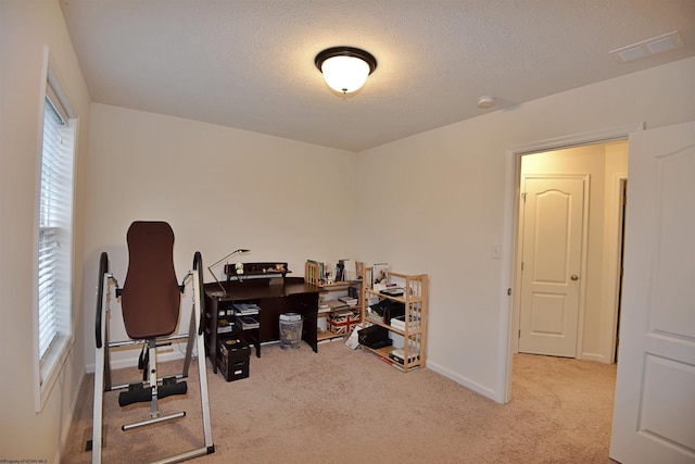 home office featuring light carpet, a textured ceiling, and plenty of natural light