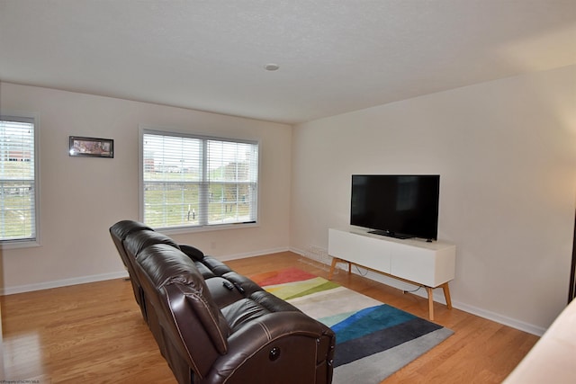 living room featuring light hardwood / wood-style floors and plenty of natural light