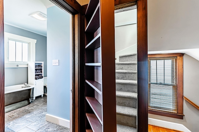 stairs featuring a wealth of natural light