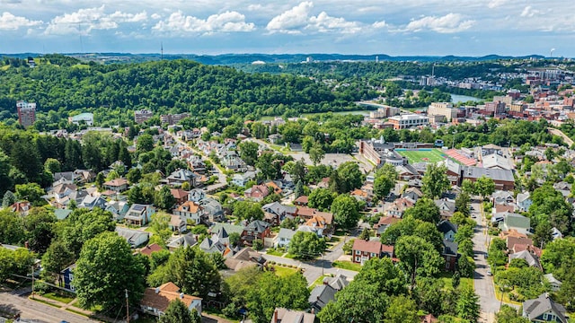 drone / aerial view