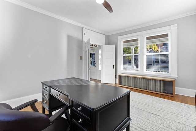 office with ceiling fan, radiator heating unit, wood-type flooring, and ornamental molding