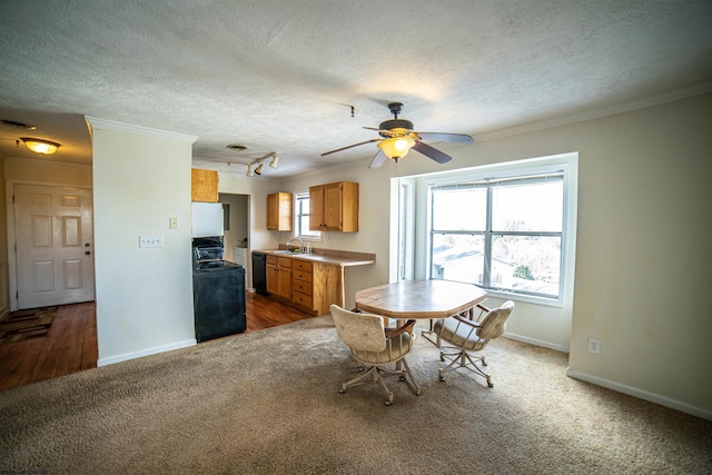 unfurnished dining area with ceiling fan, sink, crown molding, hardwood / wood-style floors, and a textured ceiling