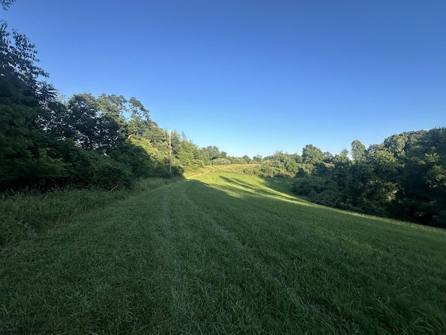 TBD Stone Coal Rd, Lost Creek WV, 26385 land for sale