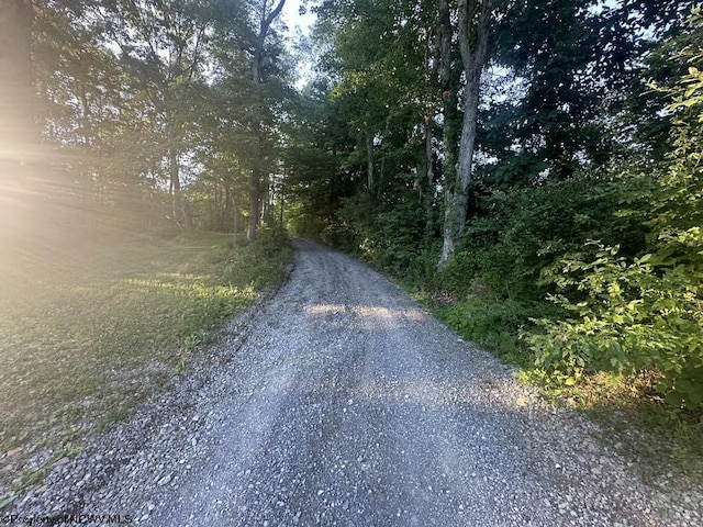 Listing photo 3 for TBD Stone Coal Rd, Lost Creek WV 26385