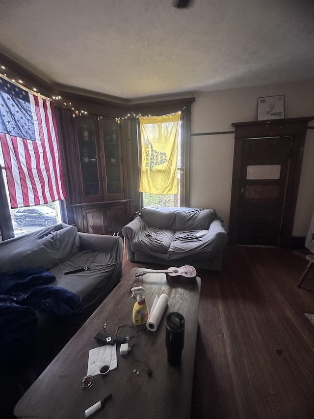 living area with wood-type flooring