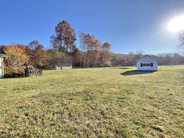 view of yard featuring a storage shed