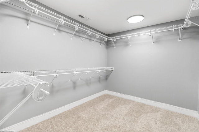 walk in closet with carpet flooring