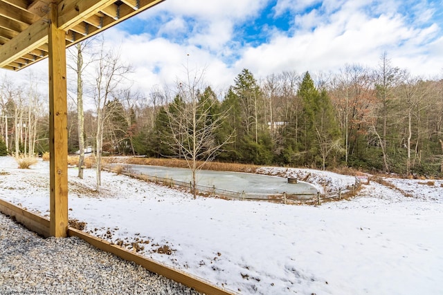 view of yard covered in snow