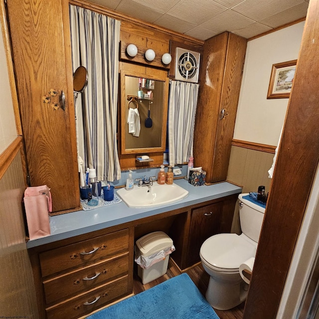 bathroom featuring vanity, toilet, and wooden walls