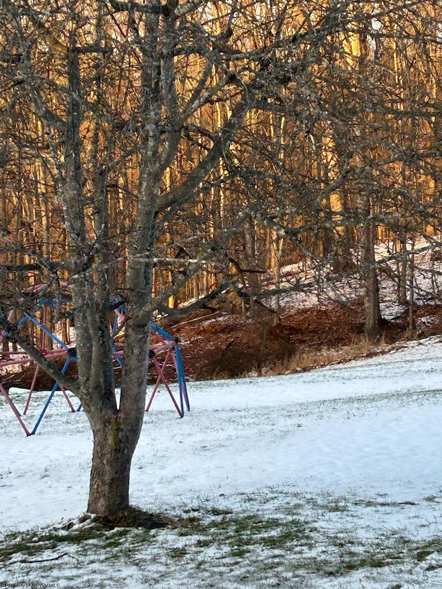 view of yard layered in snow