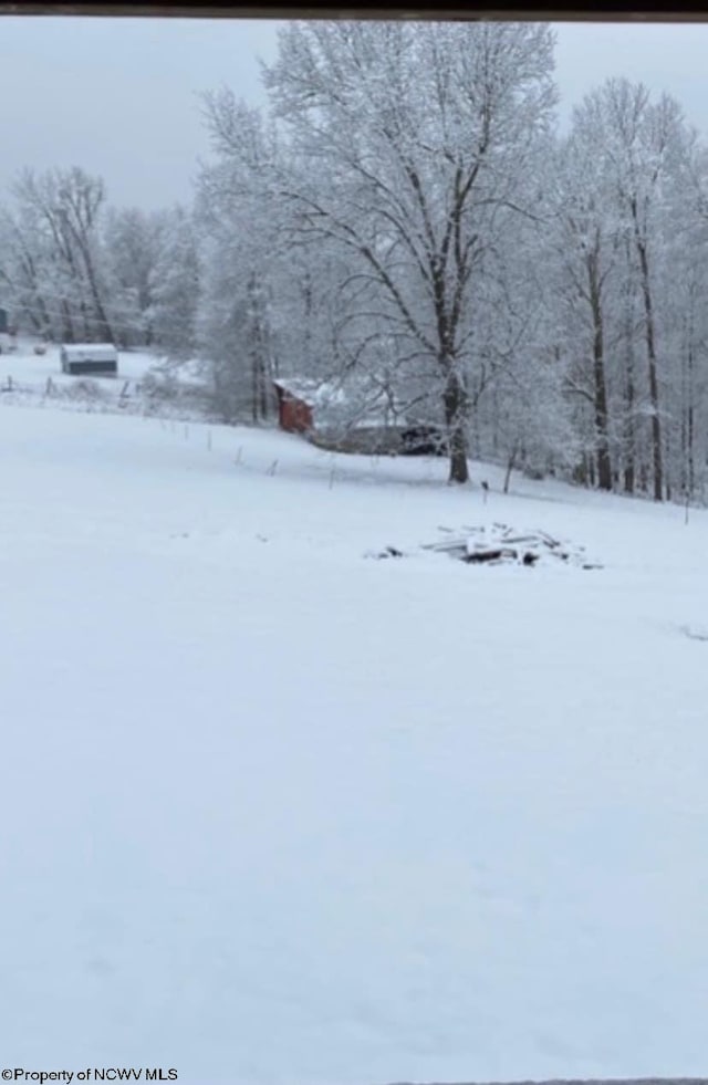 view of yard layered in snow