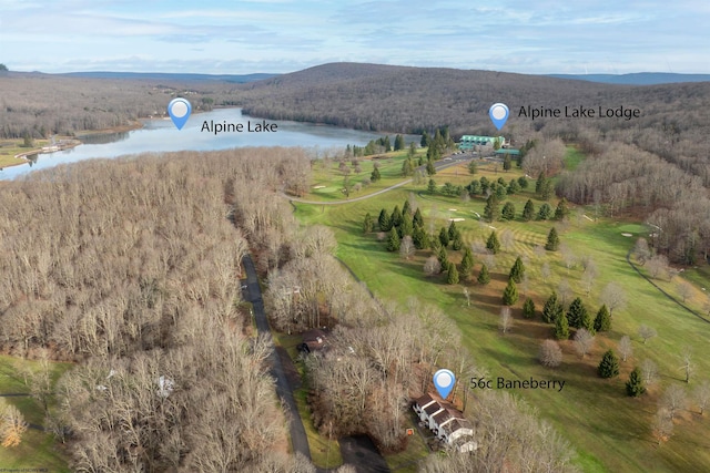 birds eye view of property with a water view and a rural view