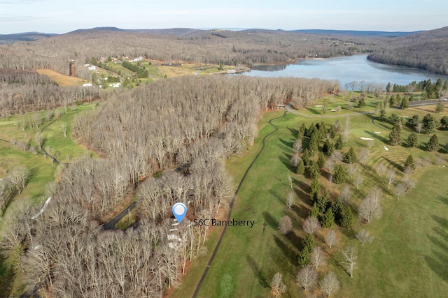 drone / aerial view with a water and mountain view