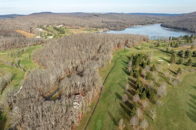 bird's eye view featuring a water and mountain view