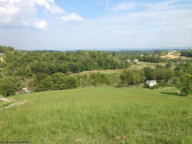 ParcelA Guston Run Road, Morgantown WV, 26505 land for sale