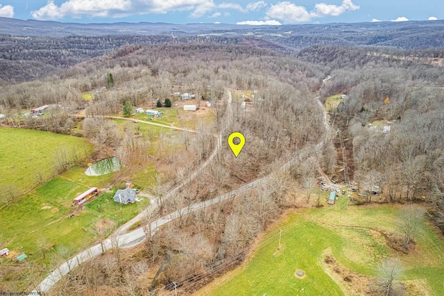 TBD Coal Lick Rd, Albright WV, 26519 land for sale