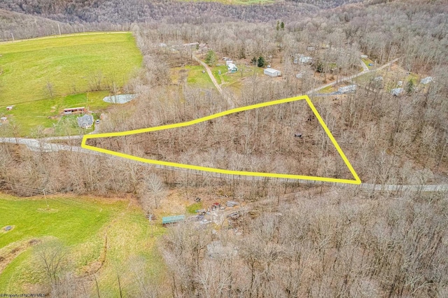 Listing photo 2 for TBD Coal Lick Rd, Albright WV 26519