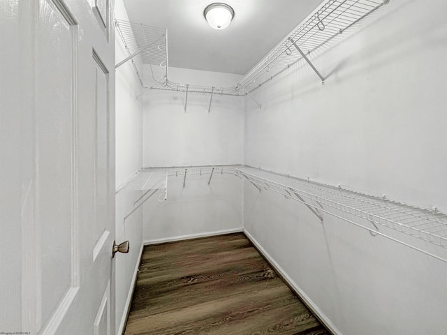 walk in closet featuring dark hardwood / wood-style floors