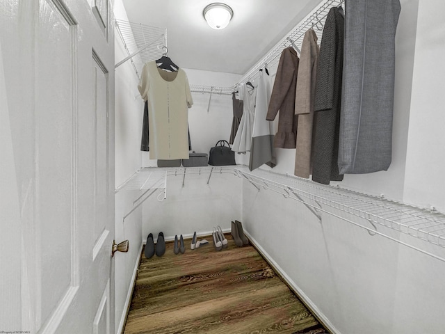 walk in closet with hardwood / wood-style floors