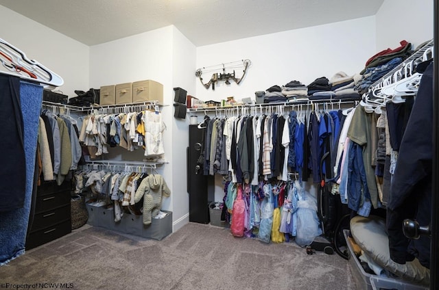 spacious closet featuring carpet floors