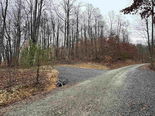 TRACT9B Isner Run, Elkins WV, 26241 land for sale