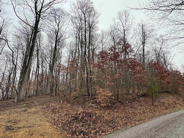 Listing photo 2 for TRACT9B Isner Run, Elkins WV 26241