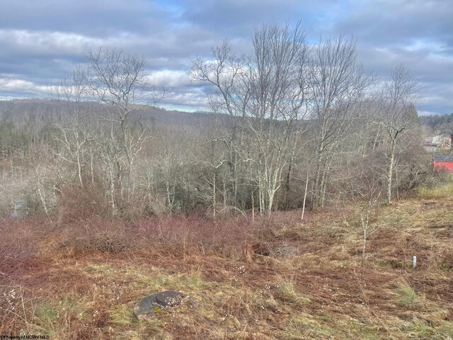 TBD Bunker Hill Rd, Thomas WV, 26292 land for sale