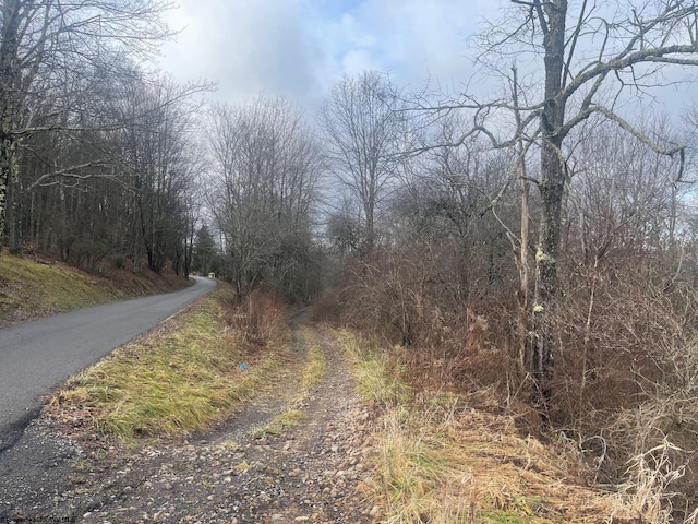 Listing photo 2 for TBD Bunker Hill Rd, Thomas WV 26292