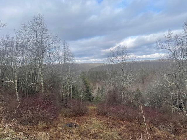 Listing photo 3 for TBD Bunker Hill Rd, Thomas WV 26292