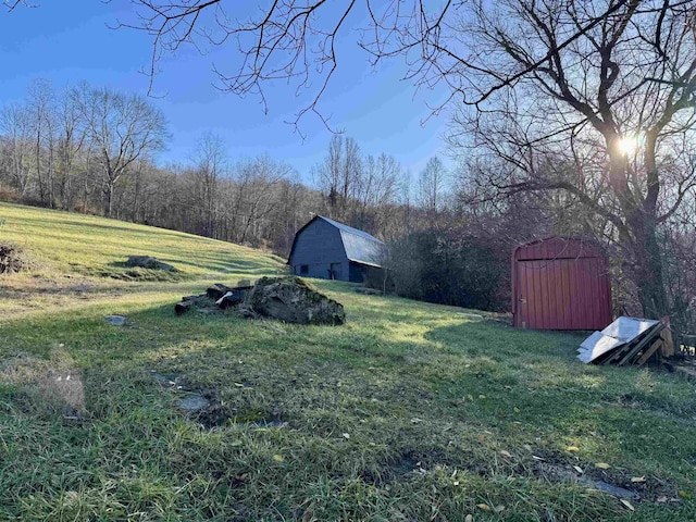 view of yard featuring an outdoor structure