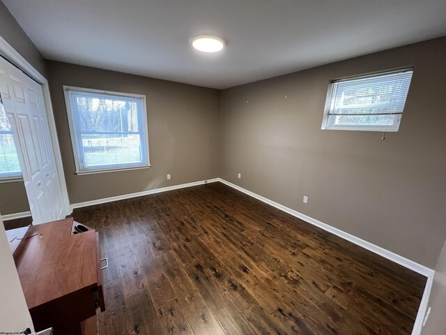 interior space with a wealth of natural light and dark wood-type flooring