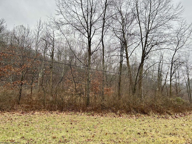 Listing photo 2 for 1249LOT8 Four States Rd, Four States WV 26572