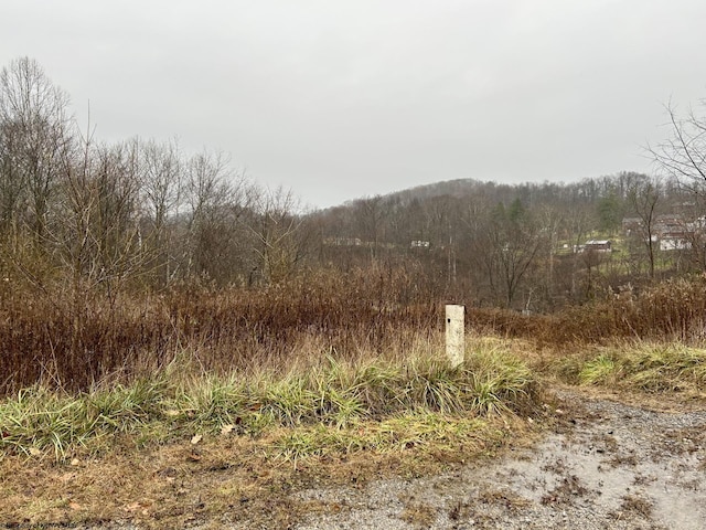 Listing photo 3 for 1249LOT8 Four States Rd, Four States WV 26572