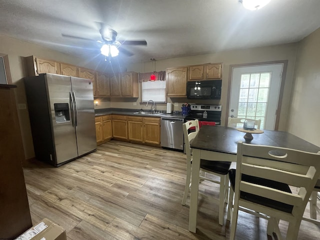 kitchen with ceiling fan, sink, light hardwood / wood-style floors, and appliances with stainless steel finishes