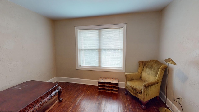 living area with dark hardwood / wood-style flooring